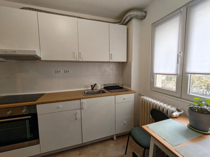 Dristor, Park Lake, Parc IOR