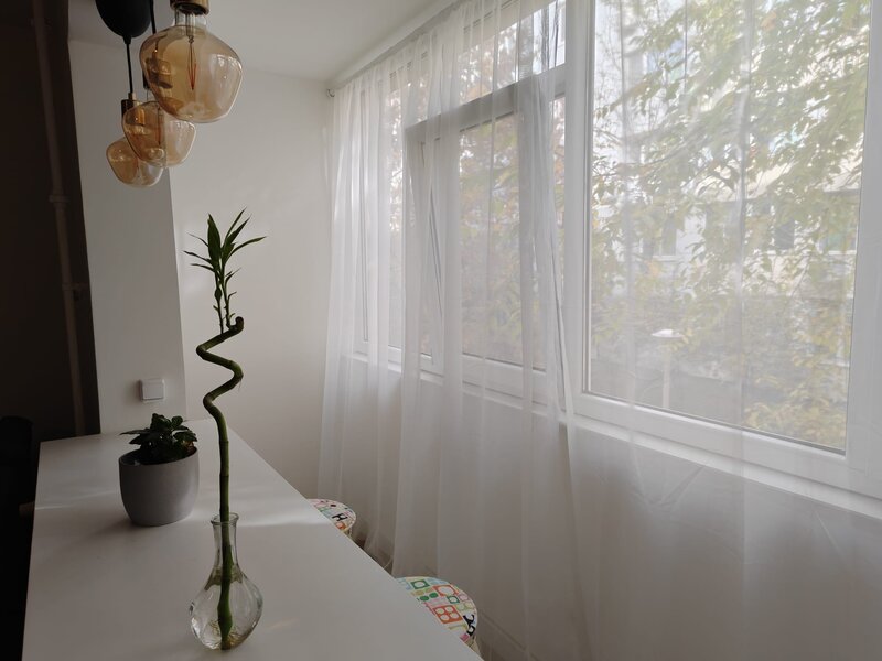 Dristor, Park Lake, Parc IOR